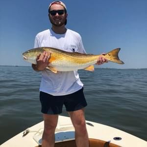 Meet your Posher, Drew